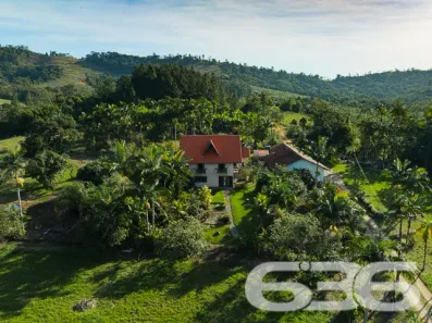 Fazenda/Sítio com 3 Quartos à venda, 350m² no Mantiqueira, São João do Itaperiú