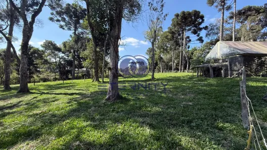 Lote/Terreno à venda, 3215m² no Santo Antônio, Campo Alegre