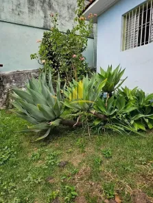 Casa com 3 Quartos à venda, 297m² no Vila Aricanduva, São Paulo