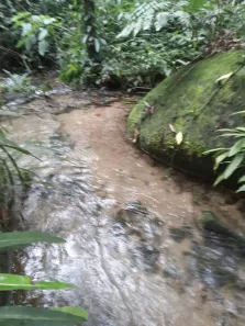 Lote/Terreno à venda, 17000m² no Papucaia, Cachoeiras de Macacu