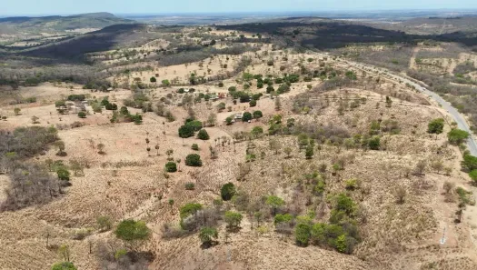 Fazenda/Sítio à venda, 200m² no , Posse