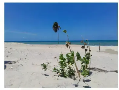 Lote/Terreno à venda, 6800m² no Cumbuco, Caucaia