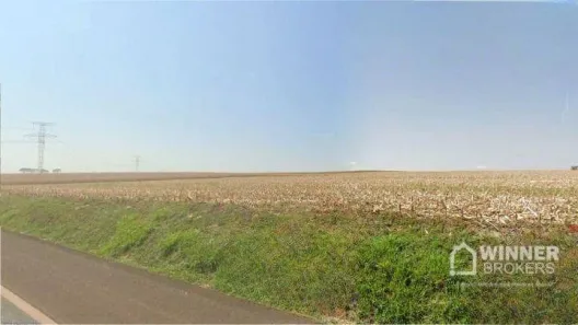 Lote/Terreno à venda, 244420m² no Rodovia, Floresta