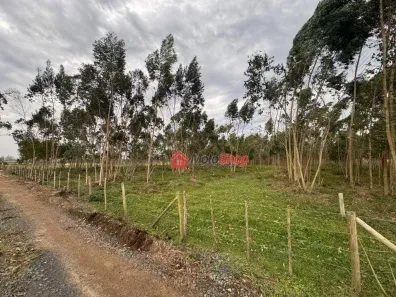 Lote/Terreno à venda, 20000m² no Coloninha, Araranguá