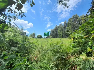 Lote/Terreno à venda, 19385m² no Ana Rech, Caxias do Sul