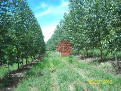Fazenda/Sítio com 1 Quarto à venda, 8820000m² no Centro, Buritizeiro