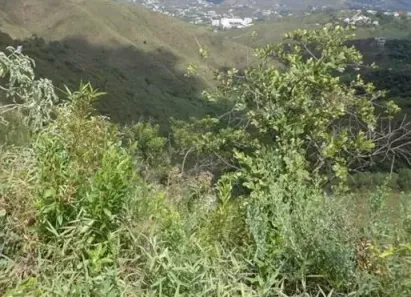Lote/Terreno à venda, 360m² no Jardim da Torre, Nova Lima