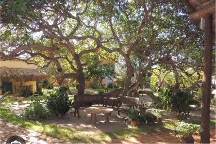 Imóvel Comercial com 11 Quartos à venda, 6750m² no Centro, São Miguel do Gostoso