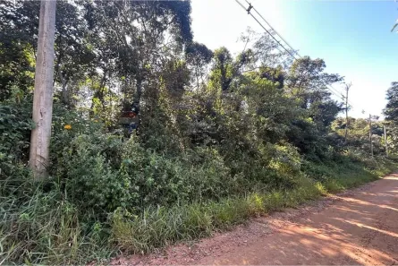 Lote/Terreno à venda, 24396m² no Jardim Rene, São Roque