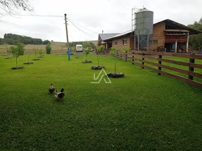 Fazenda/Sítio com 1 Quarto à venda, 535m² no Alberto Borella, Marau