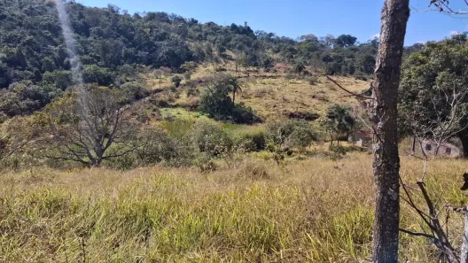 Fazenda/Sítio com 4 Quartos à venda, 400000m² no Centro, Pará de Minas
