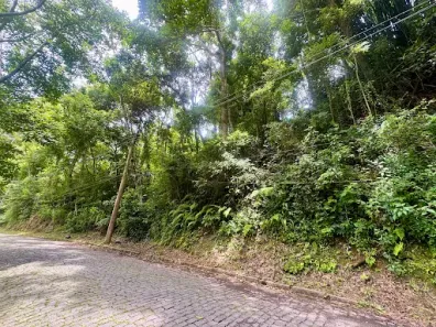 Lote/Terreno à venda, 6971m² no Centro, Nova Friburgo