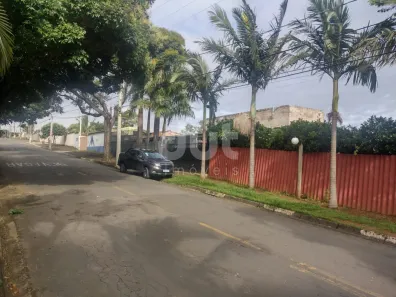 Galpão/Depósito/Armazém à venda, 500m² no Jardim Aliança, Campinas