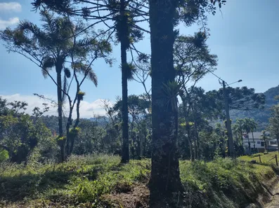 Fazenda/Sítio à venda, 1000m² no Laranjeiras, Campo Alegre