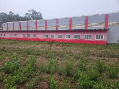 Galpão/Depósito/Armazém para alugar, 2900m² no Centro, Mogi Mirim