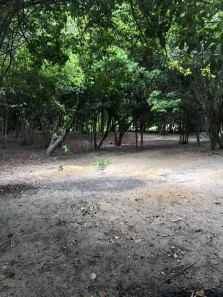 Lote/Terreno à venda, 15279m² no Pipa, Tibau do Sul