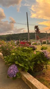 Fazenda/Sítio com 4 Quartos à venda, 1140m² no Centro, Ribeirão Branco