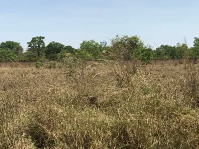 Lote/Terreno à venda, 20000m² no Park Way, Brasília