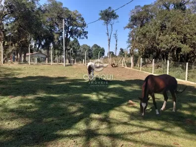Fazenda/Sítio à venda, 20000m² no Campestre da Faxina, São José dos Pinhais