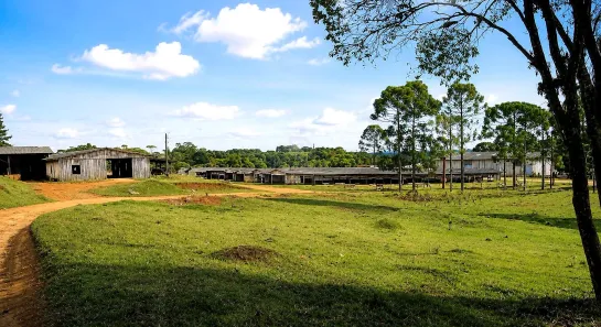 Lote/Terreno à venda, 40000m² no Zacarias, São José dos Pinhais