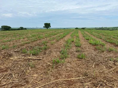 Fazenda/Sítio à venda, 384000m² no Área Rural de Ouro Branco, Ouro Branco