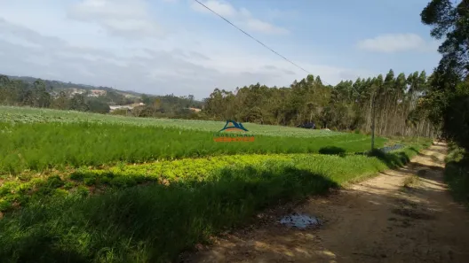 Lote/Terreno à venda, 26000m² no da Capelinha, Cotia