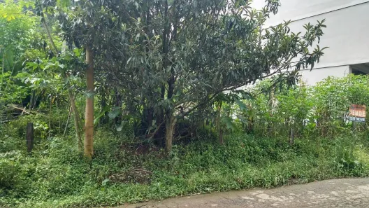 Lote/Terreno à venda, 439m² no Cônego, Nova Friburgo