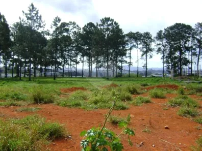 Lote/Terreno à venda, 23609m² no Pinheirinho, Itaquaquecetuba