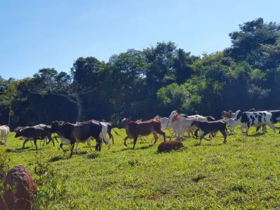 Lote/Terreno à venda, 20000m² no Zona Rural, São Gonçalo do Pará