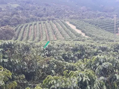 Fazenda/Sítio com 5 Quartos à venda, 2000m² no Centro, Ouro Fino