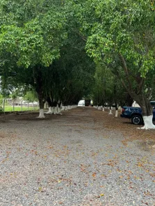 Lote/Terreno com 1 Quarto à venda, 27000m² no Jardim Europa, Cuiabá