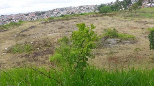 Lote/Terreno para alugar, 56252m² no Parque Industrial Cumbica, Guarulhos