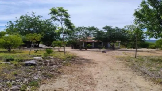 Fazenda/Sítio com 1 Quarto à venda, 763000m² no Umburanas, Sertânia