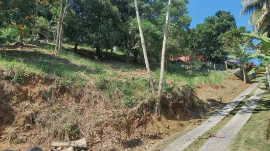 Lote/Terreno à venda, 1347m² no Cambaquara, Ilhabela