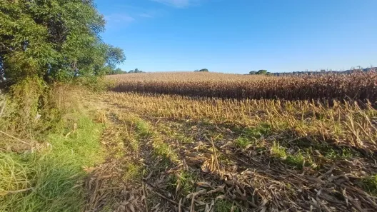 Fazenda/Sítio à venda, 93200m² no Centro, Três Coroas