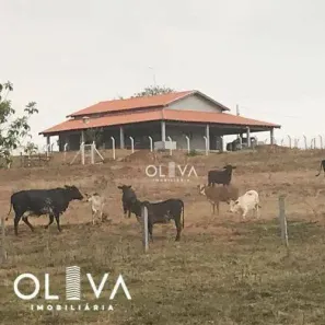 Fazenda/Sítio à venda, 121000m² no , Bady Bassitt