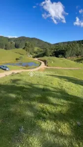 Lote/Terreno à venda, 20000m² no Alto Da Varginha, São Pedro de Alcântara
