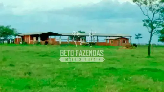 Fazenda/Sítio à venda, 18150000m² no Centro, Presidente Prudente