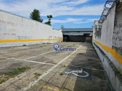 Lote/Terreno para alugar, 600m² no Indianópolis, São Paulo