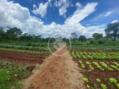 Lote/Terreno à venda, 2m² no , Santo Antônio de Goiás
