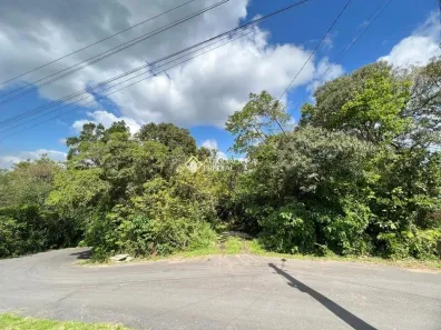 Lote/Terreno à venda, 10847m² no Várzea Grande, Gramado