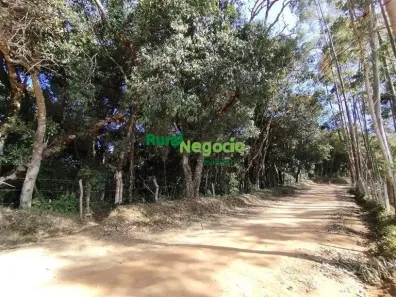 Lote/Terreno à venda, 390000m² no , Delfim Moreira