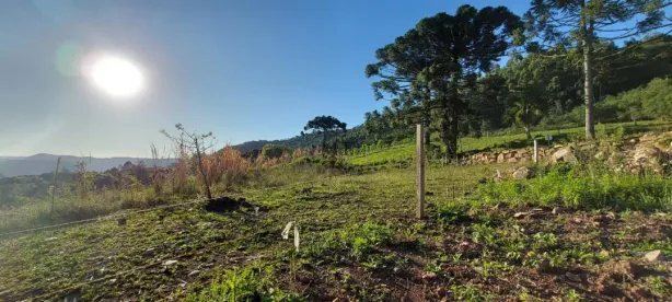 Lote/Terreno à venda, 20000m² no Dos Boêmios, Nova Petrópolis