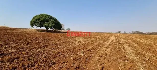 Fazenda/Sítio com 1 Quarto à venda, 10m² no , Brodowski