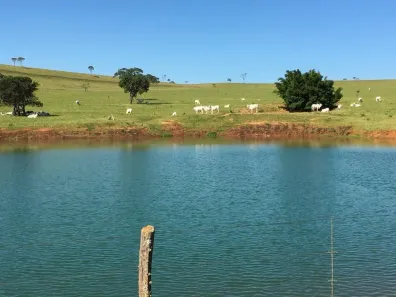 Fazenda/Sítio com 3 Quartos à venda, 350m² no , Corumbá de Goiás