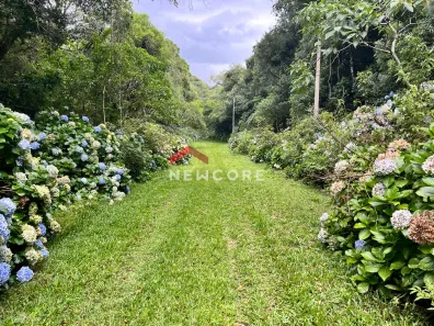 Lote/Terreno à venda, 600m² no Centro, São Francisco de Paula