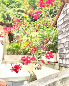 Casa com 3 Quartos à venda, 140m² no Centro, Petrópolis
