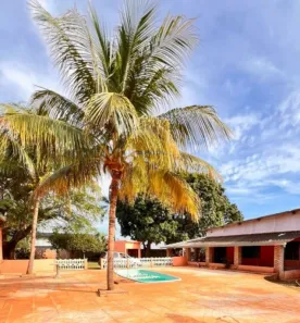 Fazenda/Sítio com 4 Quartos para alugar, 550m² no Estância São Judas Tadeu (Zona Rural), São José do Rio Preto
