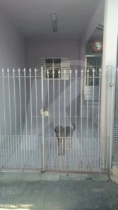 Sobrado com 3 Quartos à venda, 70m² no Vila Mazzei, São Paulo