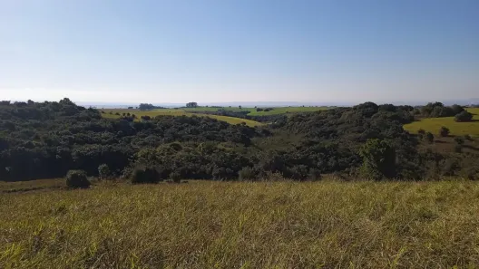 Lote/Terreno à venda, 100000m² no Águas Claras, Viamão